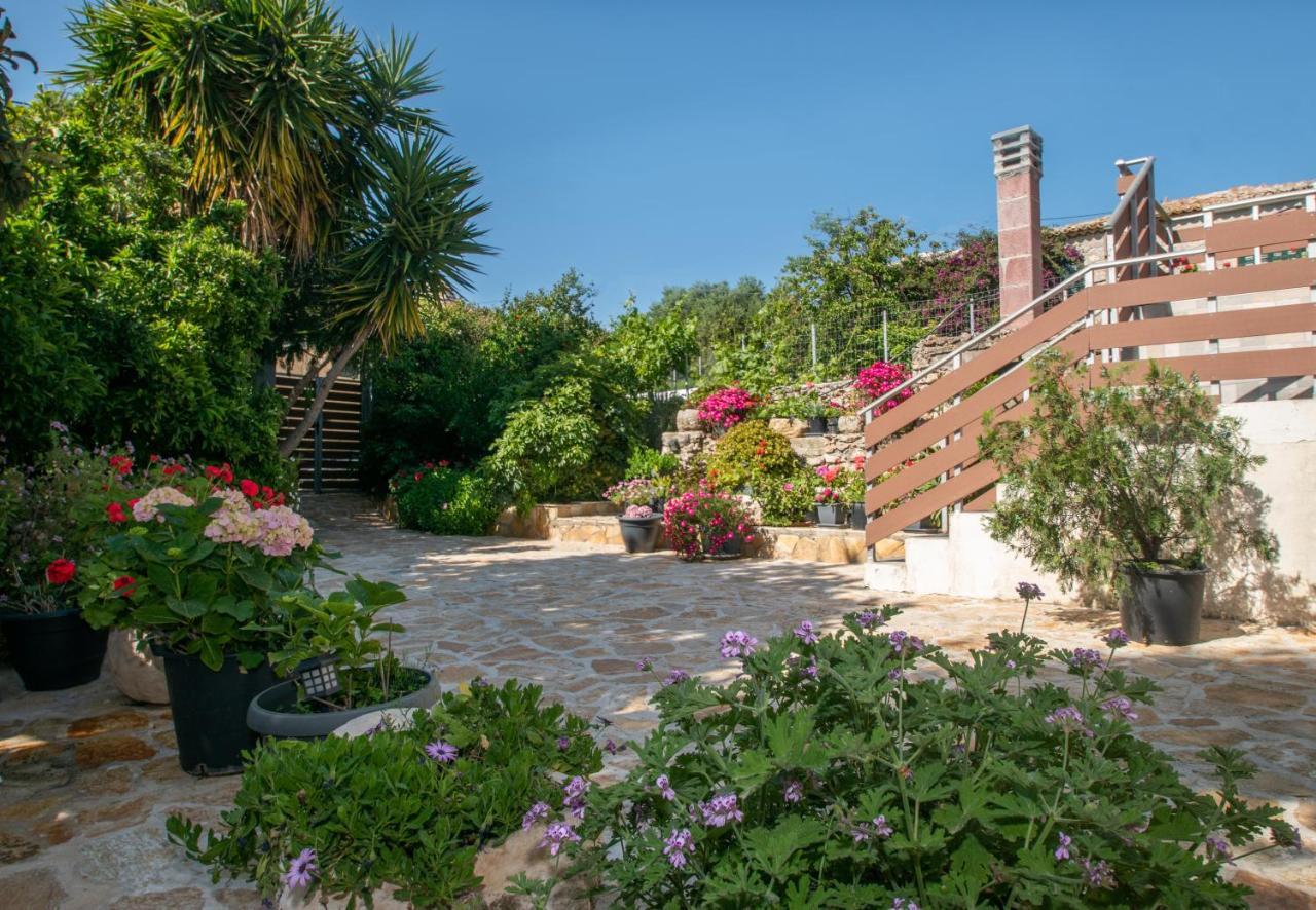 Sohoro Forest Hill By 